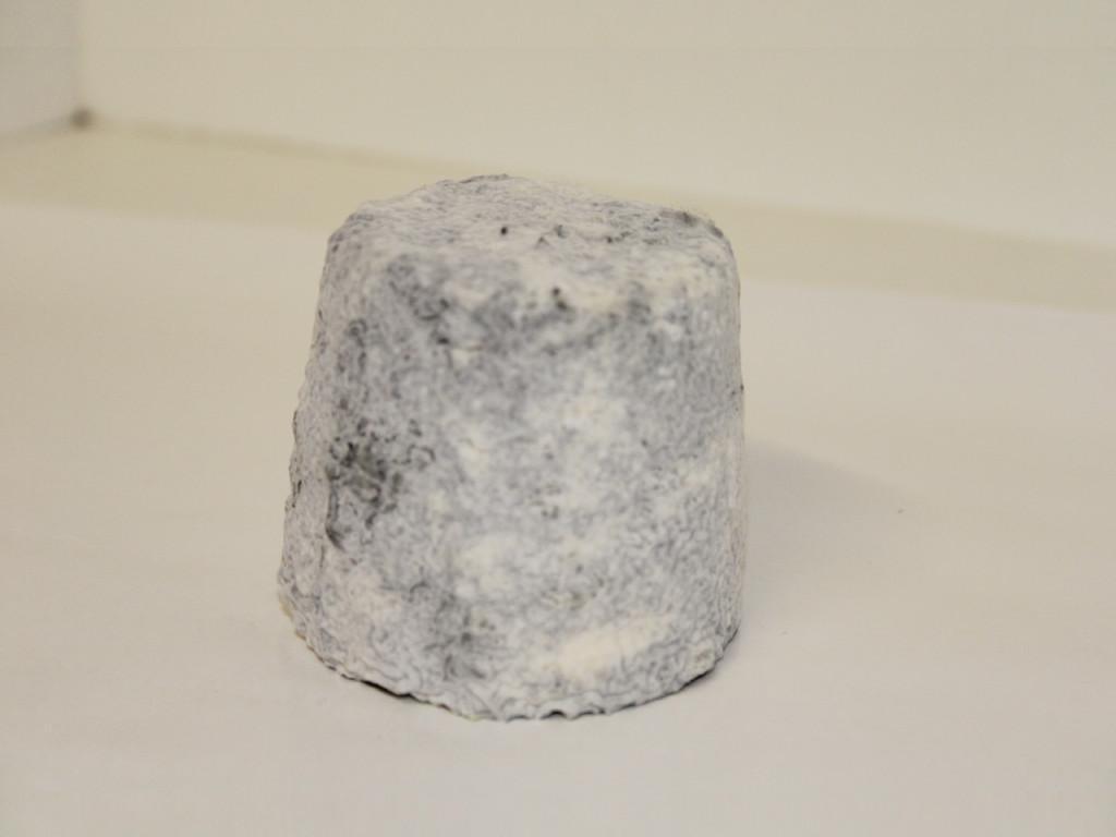 Fromage de chèvres 1/2 sec Petit Pont Pierre