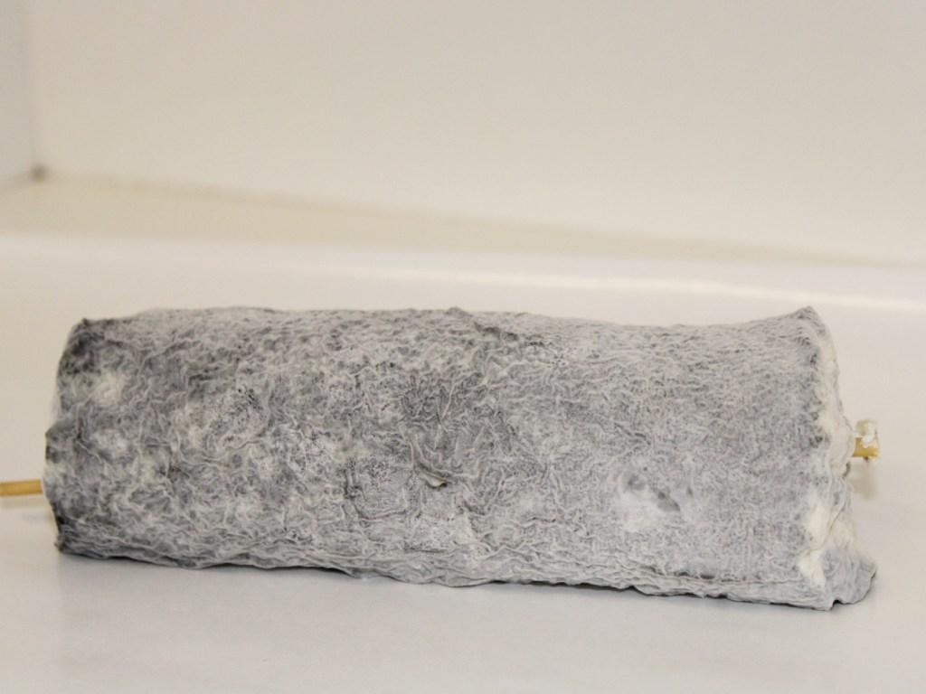 Fromage de chèvres AOP St Maure de Touraine